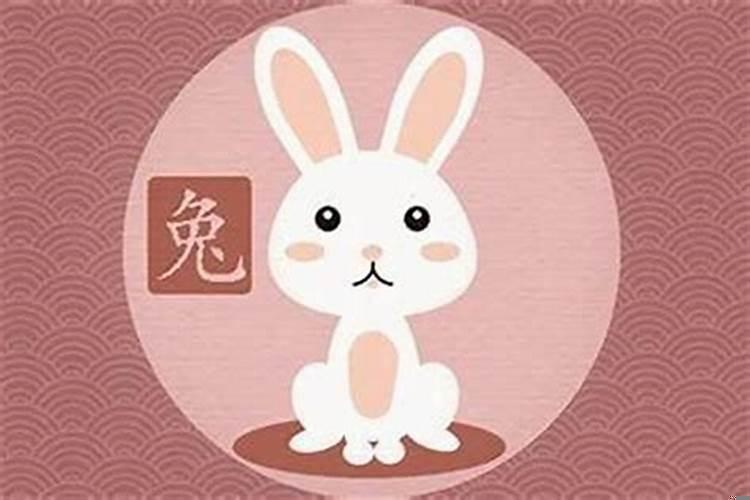 属兔结婚忌讳什么属相