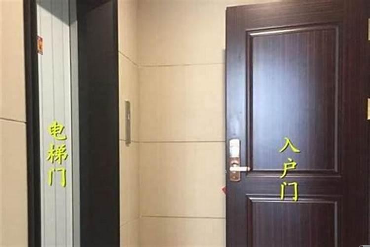 兔和啥属相婚配好
