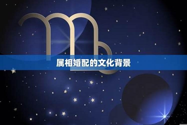 十二属相婚配对