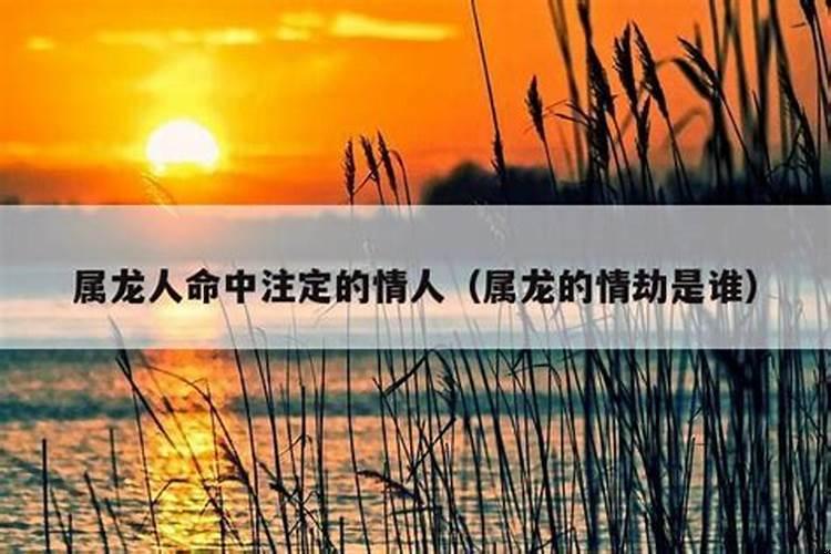 属龙人劫难