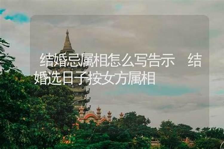 属相一样能结婚吗