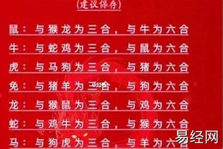 十二属相婚配对