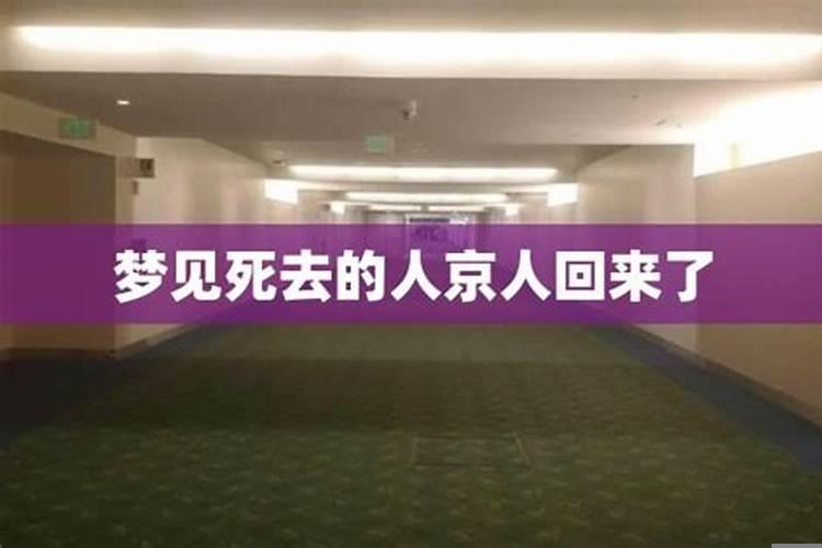 梦到母亲过世什么预兆