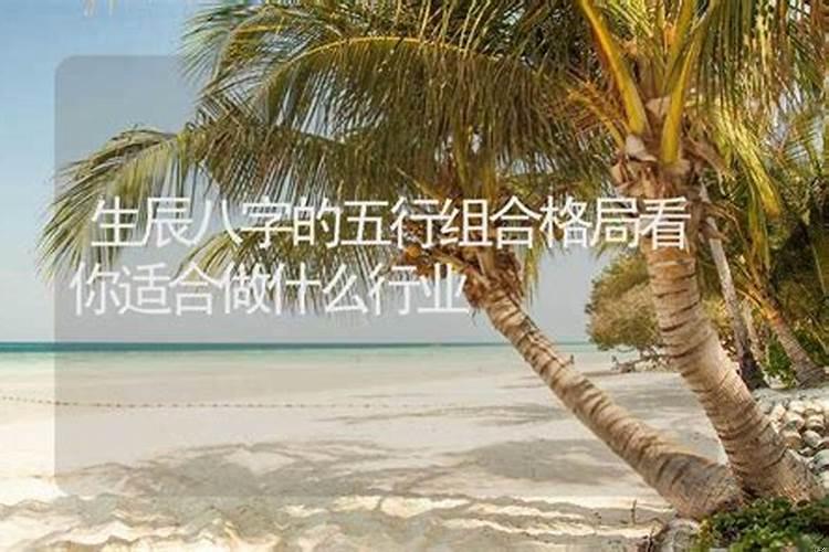 八字看从事什么行业发展大