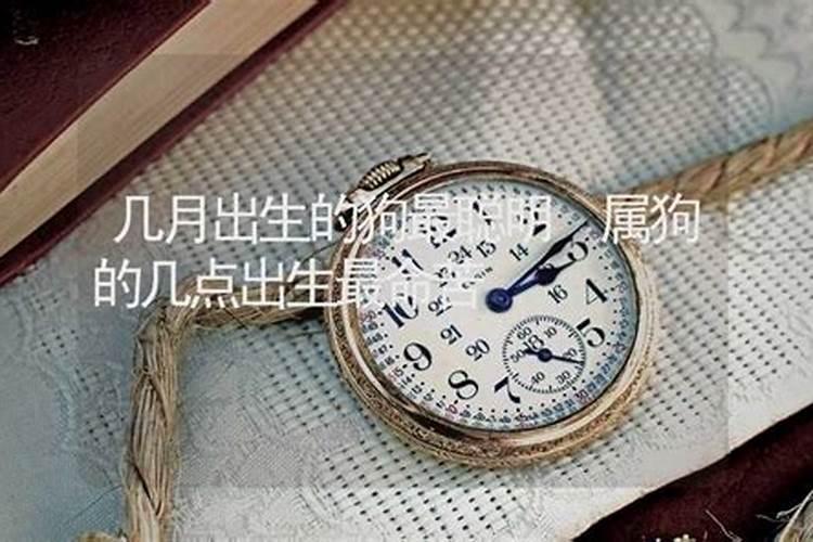 属狗人每个月出生的命运