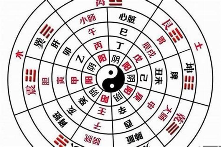 测算八字阴阳