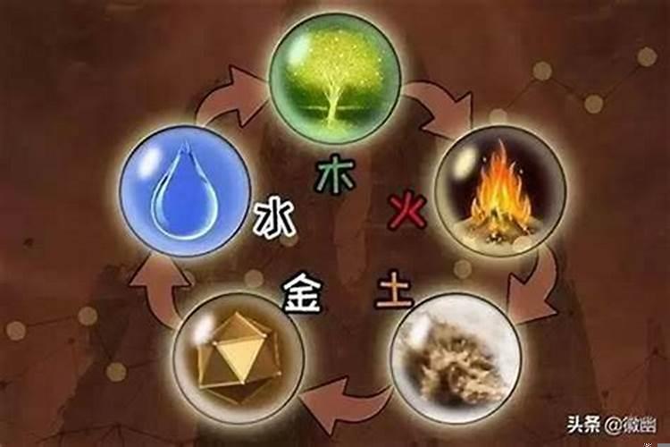 处女座是什么命格