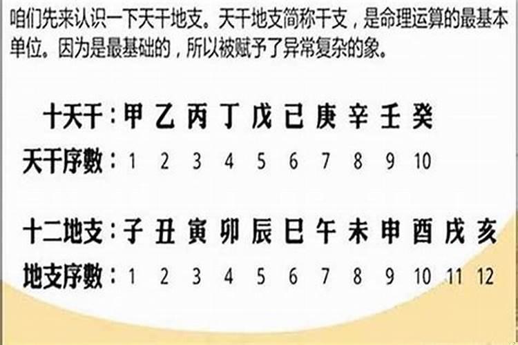 批八字需要什么