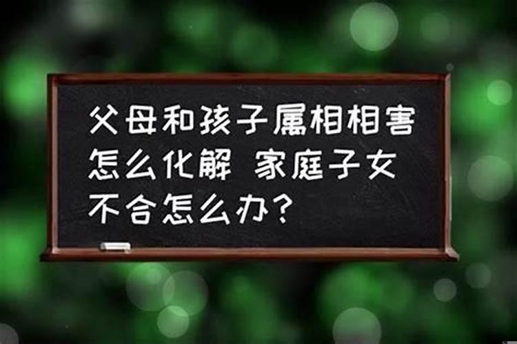 和男朋友生肖不合怎么办