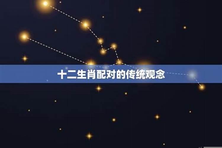婚配是属相准还是星座准
