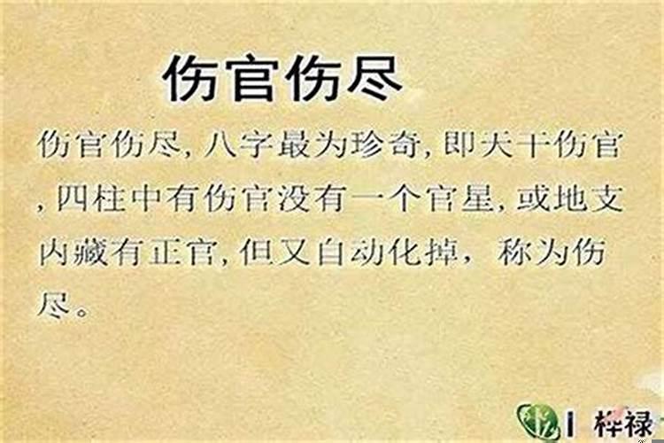 伤官是什么意思