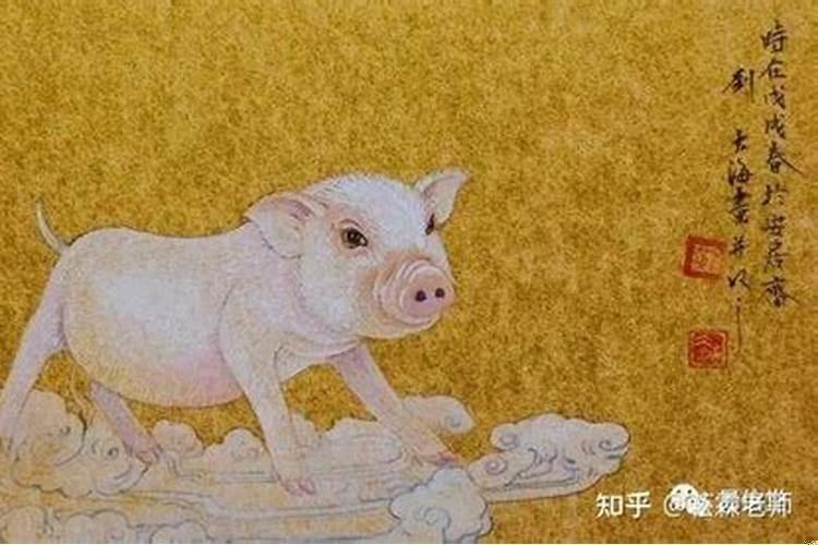 2019年属猪宝宝起名宜忌用字