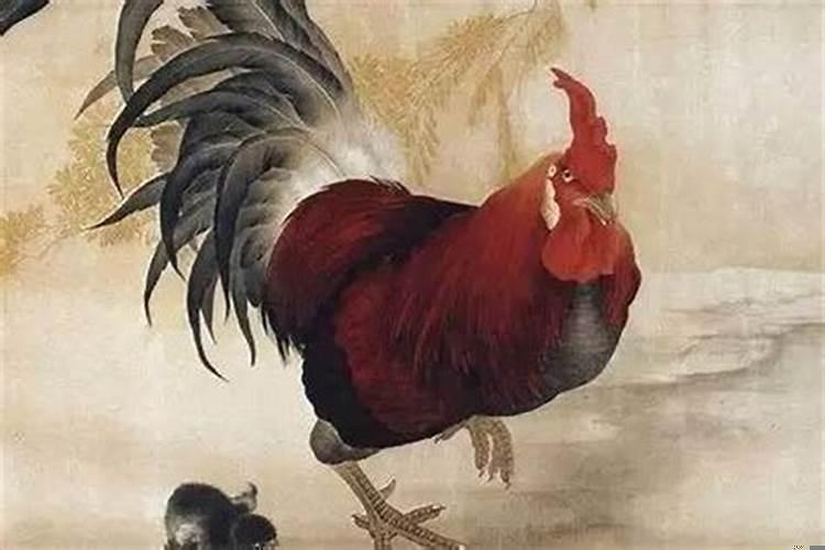 属鸡人最倒霉的两年