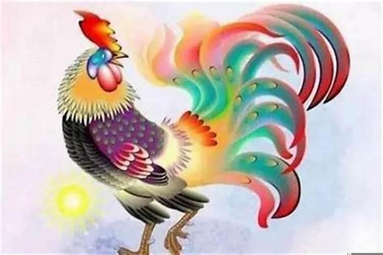 属鸡人最倒霉的两年