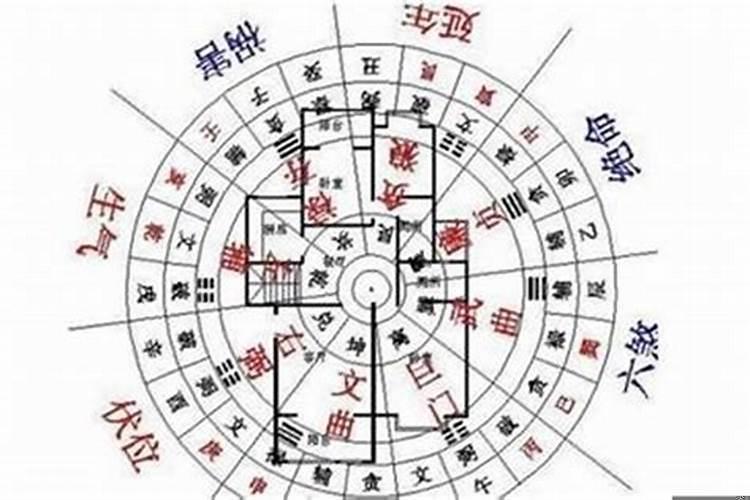 家里想添丁的风水