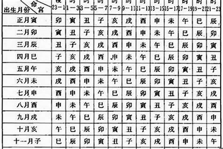 丙寅己亥甲申戊辰女八字