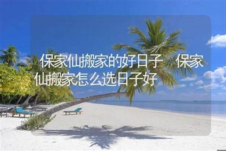 怎样选适合自己的日子搬家