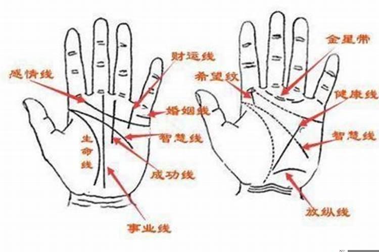 女人手上哪条是贵人线