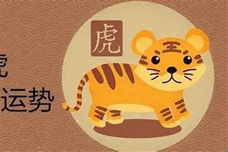 属龙的和虎属相配吗