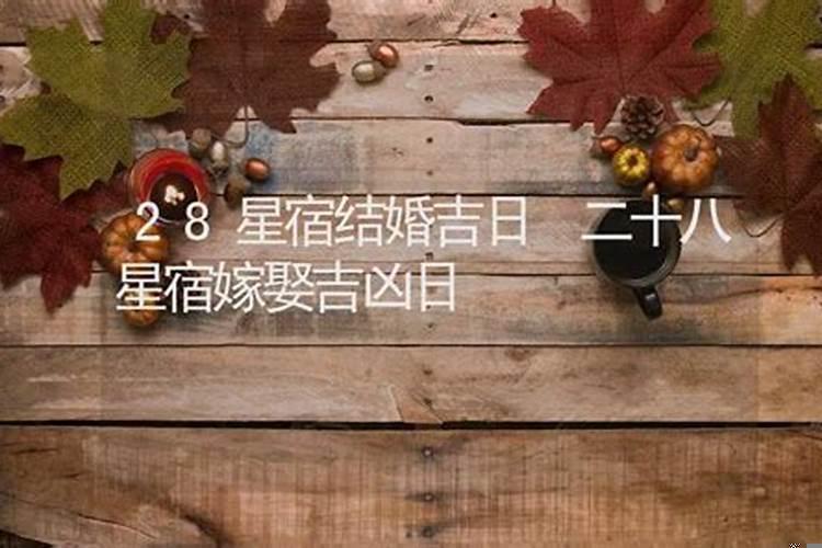 二十八宿择日吉凶断