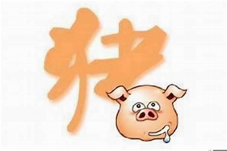 公历1971年属猪的女人