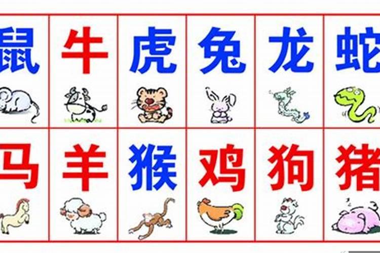 哪个生肖愿意做保姆呢