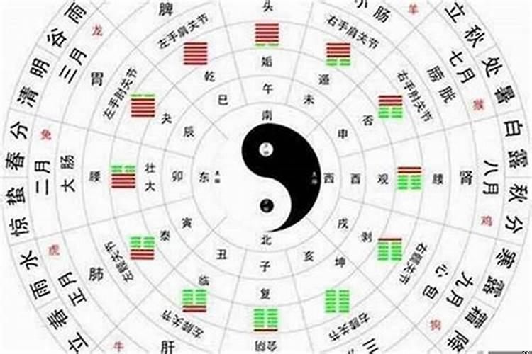 属蛇的人属于金木水火土