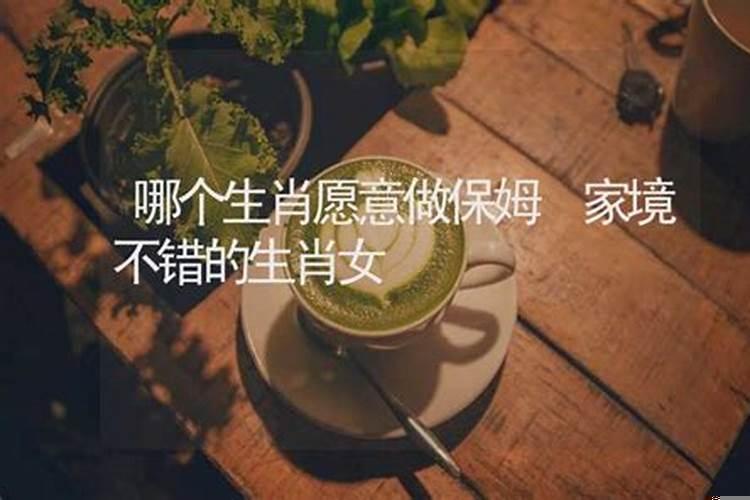 哪个生肖愿意做保姆呢