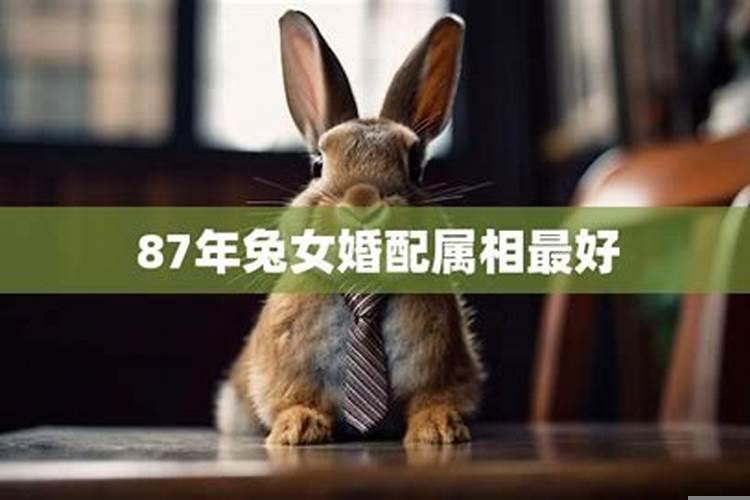 生肖兔女的性格和婚姻