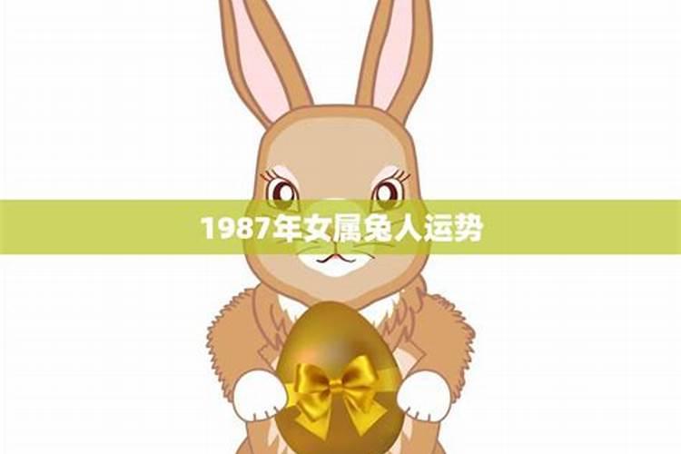 生肖兔女的性格和婚姻