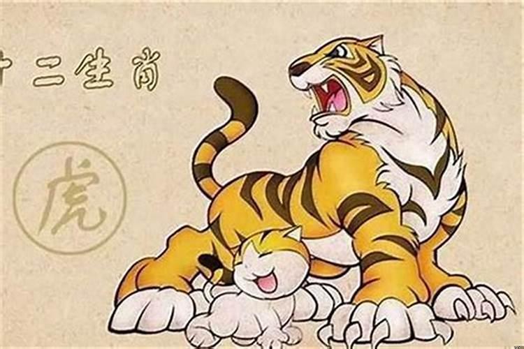 2019年属虎的人犯太岁吗