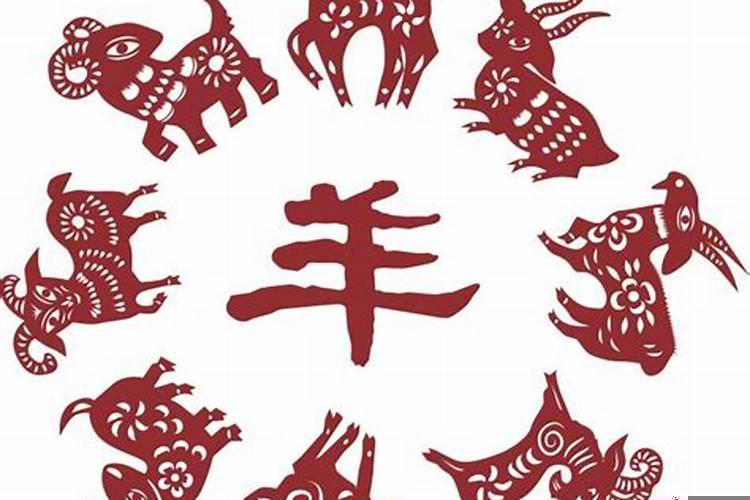 属兔大11岁属什么生肖