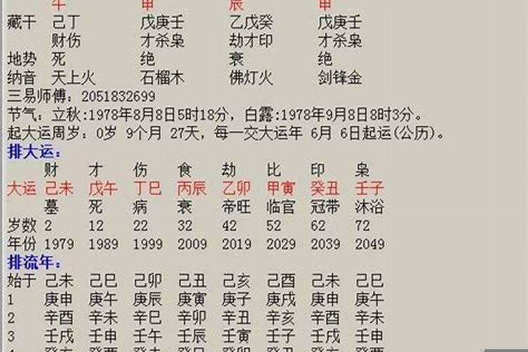 天干两庚两辛八字