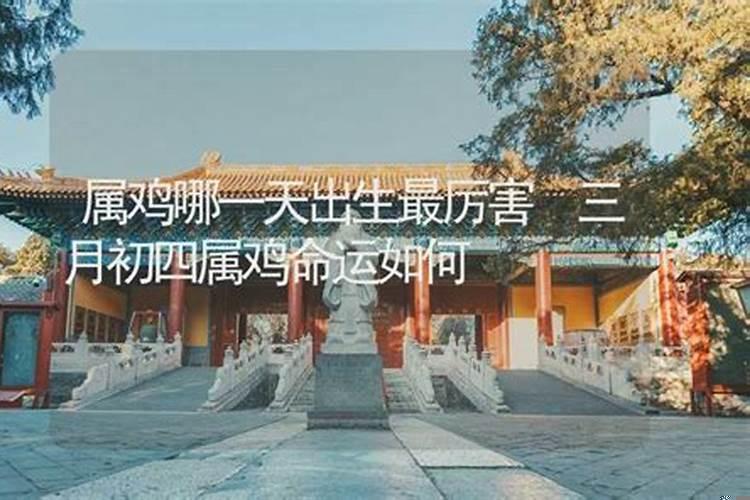 属鸡哪一天出生最厉害