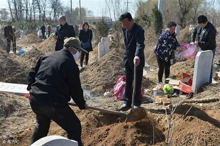 迁坟遇到蛇是什么情况