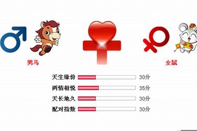 属马男人与属鼠女人婚配会怎样