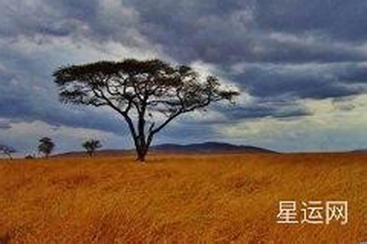 中晚年好运是不是属于好命的人