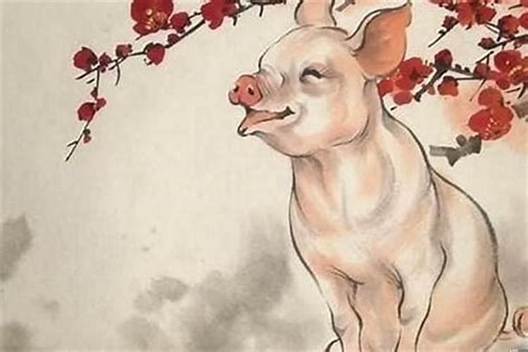 属猪的和什么生肖能配最佳