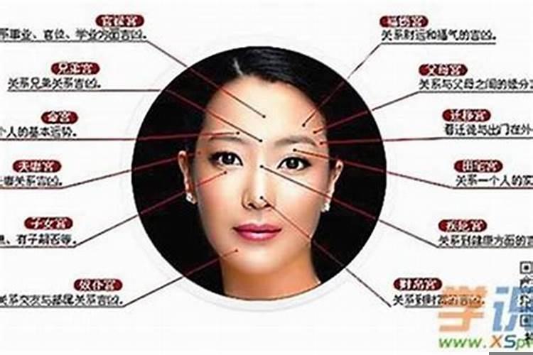 相面怎么看财运
