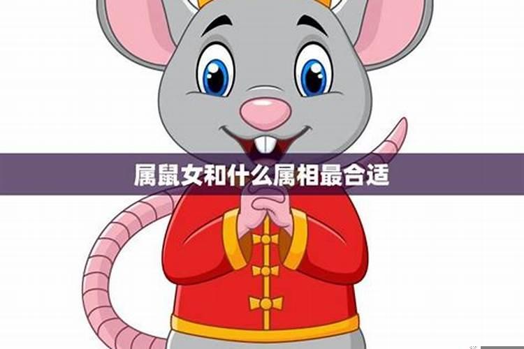 鼠女和什么属相最配对