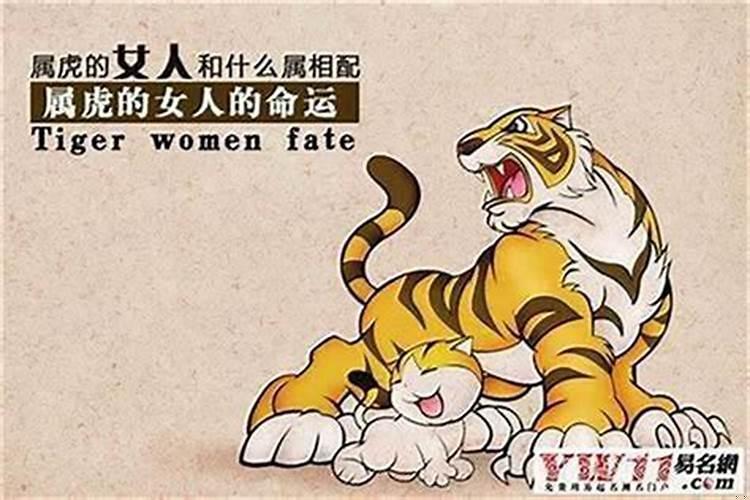 为什么属虎的女人命好苦
