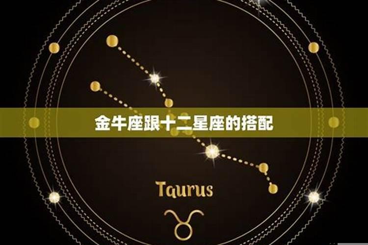 金牛座跟狮子座配对