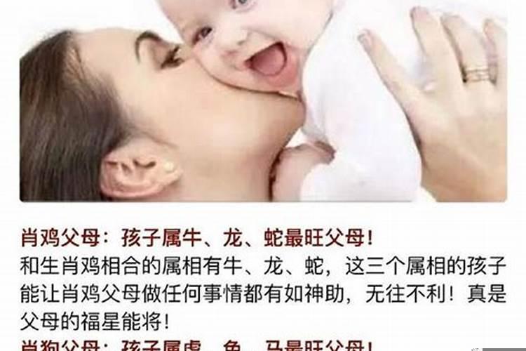 父母跟孩子生肖有讲究吗