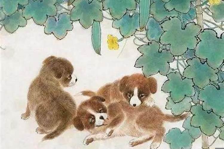 爸属猪妈属鼠什么时候要孩子