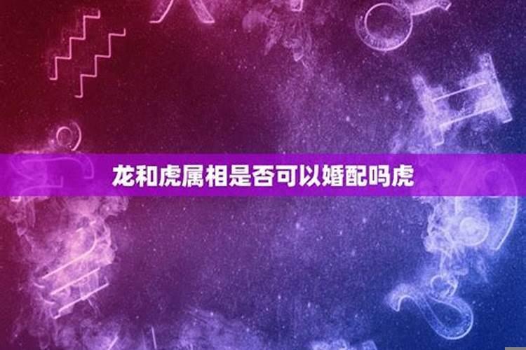 属虎的与属龙的配婚好不好