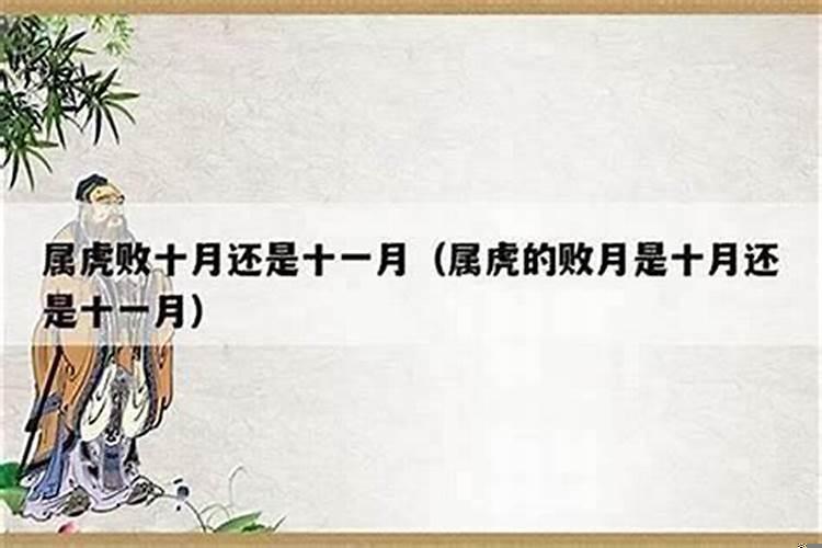 1982年十月初八女是啥命