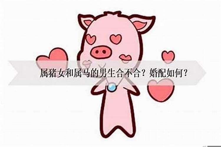 属猪的男孩最佳婚配属相是什么
