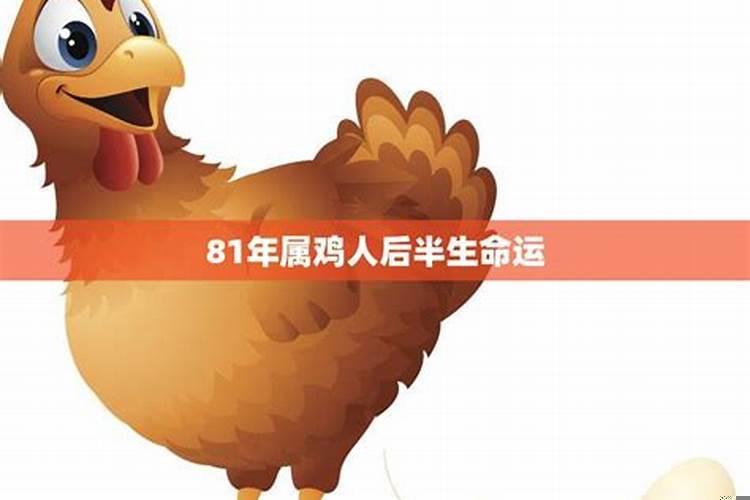 今年69年出生的属鸡人的运势