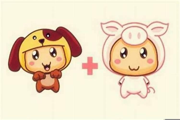 83年属猪和属狗合适吗