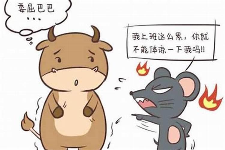 男老鼠和女蛇相配婚姻如何